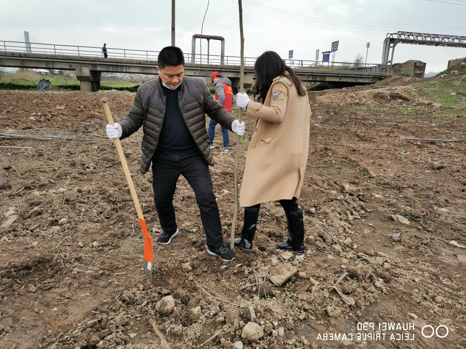QQ图片20210310162202